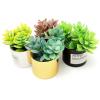 4Pcs Miniature Dollhouse Potted Plants Tiny Artificial Succulent Bonsai for 1:12 Mini Dollhouse Greenery Scene Model Micro Landscape Decoration view 3