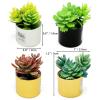 4Pcs Miniature Dollhouse Potted Plants Tiny Artificial Succulent Bonsai for 1:12 Mini Dollhouse Greenery Scene Model Micro Landscape Decoration view 4