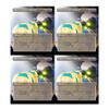 4x | Clever Concealment | Anime | Full Art | Foil or Non-Foil (Foil) view 1