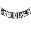 Black Glitter Big Gemini Energy Banner, Gemini May/June Birthday Party Decor - 12 Constellation Theme Birthday Party Decorations Supplies view 1