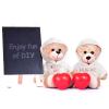 18 Pcs Stuffed Bear Clothes Sublimation Blank Bear Shirt Doll T-Shirts Stuffed Animal Tshirt Basic Hoodie Easy to Wear Fit 14-18 Inches Stuffed Dolls view 3