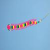 HFLY Kite New 39ft Centipede Kite Line Laundry for Adults Giant Soft Inflatable Caterpillar Kite Pendant view 4