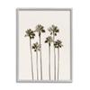 Stupell Industries Tall Palm Trees Looming Giclee Framed Wall Art, Design by Natalie Carpentieri view 1