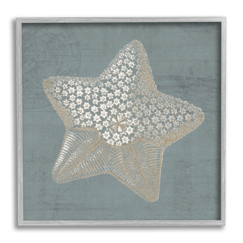 'Patterned Starfish Aquatic Sea Life'| Framed Giclee Art