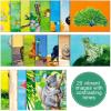20 Pcs Dementia Products for Elderly with 1 Pcs Painting Brush Animal Theme Drawing Reusable Water Painting Toys Alzheimers Activities Alzheimers Gifts Coloring Dementia Games for Elderly Adults view 4