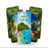 The Tarot of Koh pha ngan - Major Arcana view 1