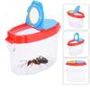 alfyng Insect Viewer Magnifier Catcher, Bug Catchers and Viewer Microscope, Science Nature Exploration Animals Collection Box Tools for Backyard, Outdoor, Camping and Hiking view 4