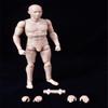 1/6 Scale Male Body,12inch Flexible Posable New Advanced Action Figure Body 2.0 Slim Version Doll Collection OA60003 view 2