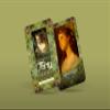 A Portrait of a Fairy Tarot - Major Arcana view 4