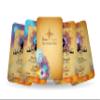 Ibiza Tarot - The Oracle of Tanit - Major Arcana (German) view 1