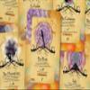 Ibiza Tarot - The Oracle of Tanit - Major Arcana (German) view 3