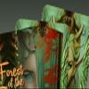 Forest of The Elves Tarot - 78 Cards - Magical Elves view 4