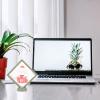 4sets Miniature Display Case Transparent Holders for Collectibles Figures Medals Chic Design Space-Saving Showcase for Home Decor for Plates view 3