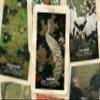 Ibiza Tarot Ito Jakuchu Tarot - Major Arcana Cards | Fortune Telling Tarot Cards Deck for Beginners | Authentic Tarot Experience - Set of 23 Cards view 3