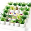 26Pcs Miniature Potted Plants, Mini Artificial Plants, 1:12 Scale Doll House Accessories, Suitable for Dollhouse Decoration, Christmas Birthday Present, DIY Handicrafts view 1