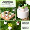 26Pcs Miniature Potted Plants, Mini Artificial Plants, 1:12 Scale Doll House Accessories, Suitable for Dollhouse Decoration, Christmas Birthday Present, DIY Handicrafts view 2