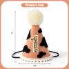 DSAANE Western Cowboy Party Hats - First Birthday Crowns for Decorations, Dress Up Photo Props view 2