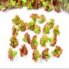 Dollhouse Miniatures Food Lot 50 Loose Red Lettuce Salad Vegetable 16367 view 1