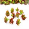 Dollhouse Miniatures Food Lot 50 Loose Red Lettuce Salad Vegetable 16367 view 2