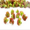 Dollhouse Miniatures Food Lot 50 Loose Red Lettuce Salad Vegetable 16367 view 3