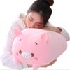 COSGOO Cute Plush Pig Stuffed Squishy Animal Pig Cylindrical Body Pig Pillow,Super Soft Pig Hugging Toy Pillow Kids Kawaii Sleeping Pig Pillow Gifts for Bedding Decor or Home Decor 24-Inch view 1