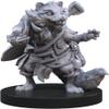 Animal Adventures: Raiders of The Faraway Sea Roleplaying Miniatures 5E Compatible view 3
