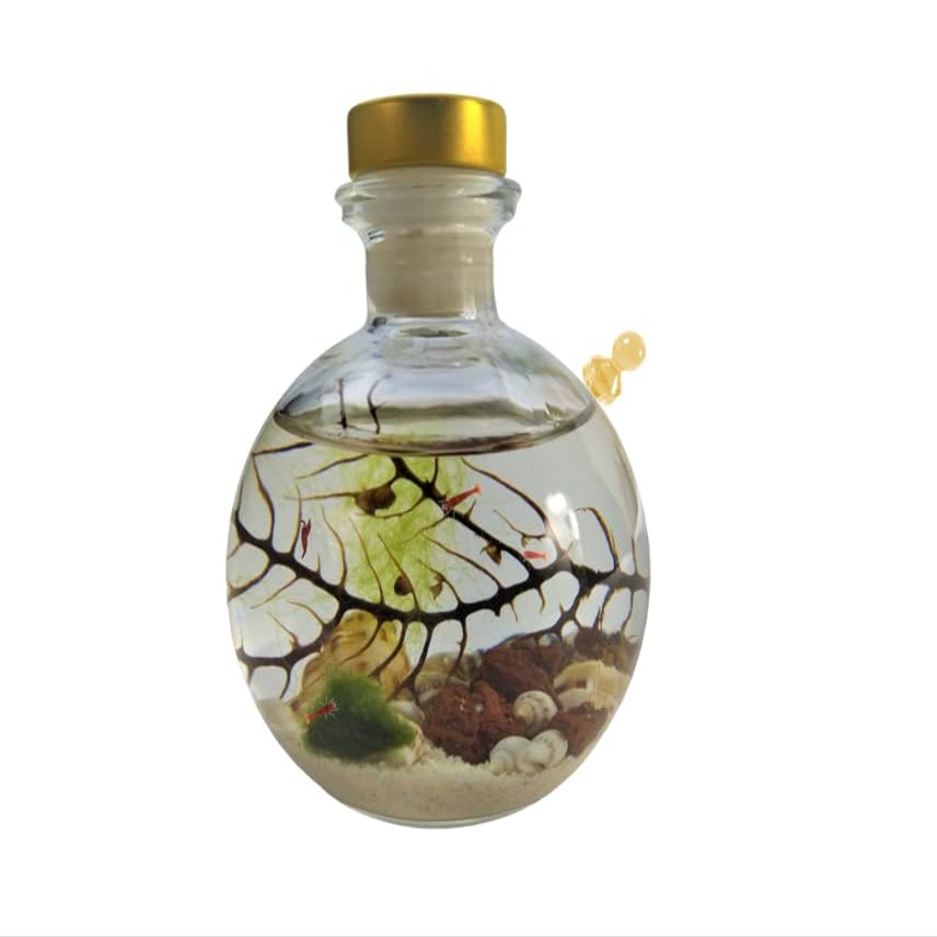 Semi Enclosed Ecosystem Shrimp Ecosphere