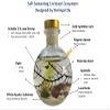 Semi Enclosed Ecosystem Shrimp Ecosphere view 2