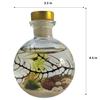 Semi Enclosed Ecosystem Shrimp Ecosphere view 3