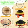 Cagemoga 12 Pieces Mexican Sombrero Headbands Mini Sombrero Party Hats for Kids Adults Dogs Pets view 2