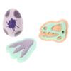 Dinosaur chalk set 27-piece set view 4