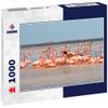 Noah Jigsaw Puzzle Flamingos, Birds, Celestun, Water, Yucatan, Mexico 1000 Pieces view 1