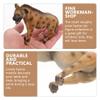 ibasenice 4pcs Hyena Model Toy for Kids Realistic Plastic Hyena Figurine 4.33In Wildlife Animal Cognitive Toy Educational Collectible for Home Desk and Miniature Garden Decor view 3