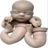 DangTpor 18inch Sam Doll Reborn Solid Platinum Liquid Silicone Kits DIY Blank Painted and Unpainted Unfinished Parts Soft Silicone Baby Reborn Doll Kits (Levi Unpainted Kits) view 4