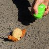 Tipmant Realistic RC Snail Remote Control Animal Toys Realistic Electronic Fake Insect Car Vehicle Kids Birthday Gifts view 3
