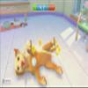 Microds My Universe (Pets Edition) view 3