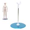 Pssopp Doll Display Stand Holder, 1/3 Adjustable Doll Stand Holder Toys Display Home Accessories Dolls Mini Display Tool view 1