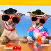 Cagemoga Fiesta Party Favors: 12 Sombrero Headbands and 12 Colorful Wooden Maracas for Mexican Themed Parties and Celebrations view 4
