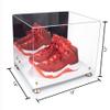 Better Display Cases Acrylic Extra Large Shoe Display Case for Basketball Shoe, Hightop, Soccer & Football Cleats with Mirror Case, Gold Risers and White Base 18" x 14" x 12" (A014/V60) view 2