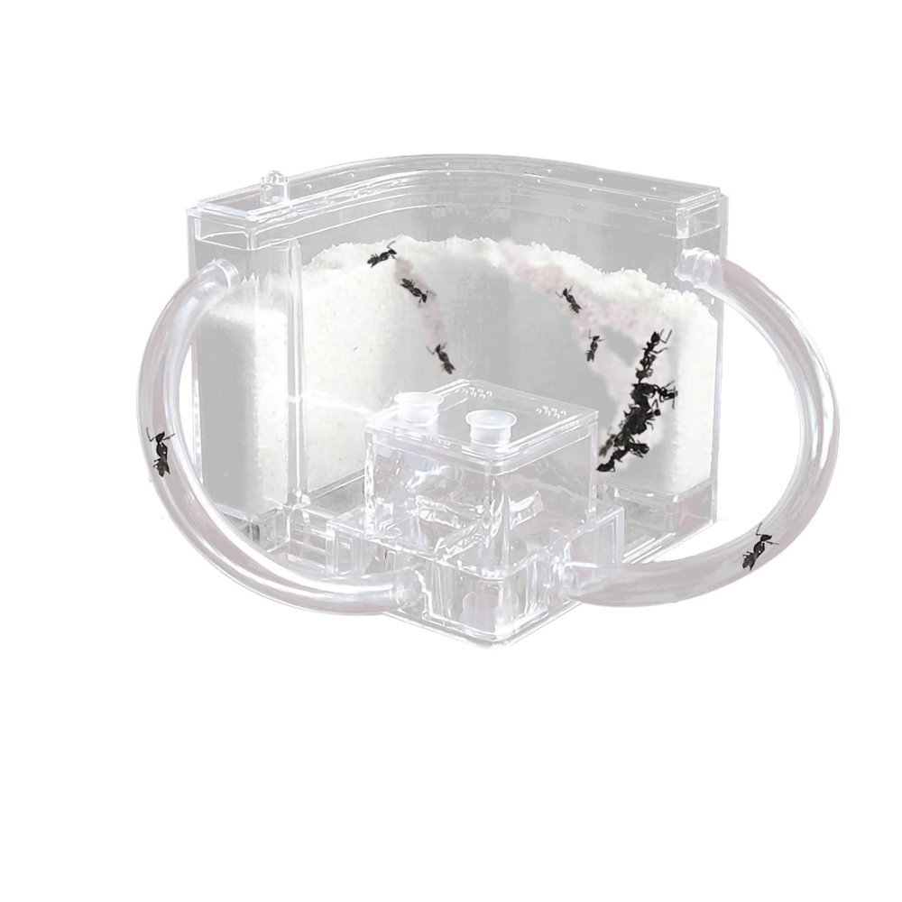 EXBEPE Sand Ant Farm with Connecting Tubes,Live Ant Habitat Colony Ecosystem Terrarium Kit for Kids to Study Insect Behavior