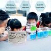 EXBEPE Sand Ant Farm with Connecting Tubes,Live Ant Habitat Colony Ecosystem Terrarium Kit for Kids to Study Insect Behavior view 2
