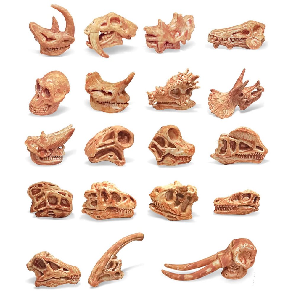 19 PCS Mini Mammal Skull Set Realistic Dinosaur Bones Prehistoric Animals Head Skeleton Playsets Ancient Daeodon Mastodon Collection Figures Models