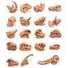 19 PCS Mini Mammal Skull Set Realistic Dinosaur Bones Prehistoric Animals Head Skeleton Playsets Ancient Daeodon Mastodon Collection Figures Models view 1