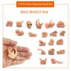 19 PCS Mini Mammal Skull Set Realistic Dinosaur Bones Prehistoric Animals Head Skeleton Playsets Ancient Daeodon Mastodon Collection Figures Models view 2