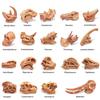19 PCS Mini Mammal Skull Set Realistic Dinosaur Bones Prehistoric Animals Head Skeleton Playsets Ancient Daeodon Mastodon Collection Figures Models view 3
