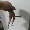 1:6 Metal Staff for 12" Female Figure Body view 3