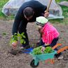 Qtioucp Kids Gardening Tools Outdoor Toys Set Backyard Play with Wheelbarrow Educational STEM Learning Pretend Toys Outdoor Indoor for Toddlers Kids Boys Girls view 3