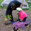 Qtioucp Kids Gardening Tools Outdoor Toys Set Backyard Play with Wheelbarrow Educational STEM Learning Pretend Toys Outdoor Indoor for Toddlers Kids Boys Girls view 3
