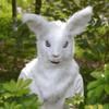 BEESUM 2023 Premium Rabbit Head Mask Moving Mouth Hare Cosplay Masks Hat for Halloween Christmas Party Costume (White) view 4