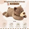 3.5 LB Weighted Stuffed Animals Bear, 24 Inch Weighted Plush Animals Throw Pillow, Cute Kawaii Plush Toys Gifts for Kids Adults Teens Birthday Christmas view 2